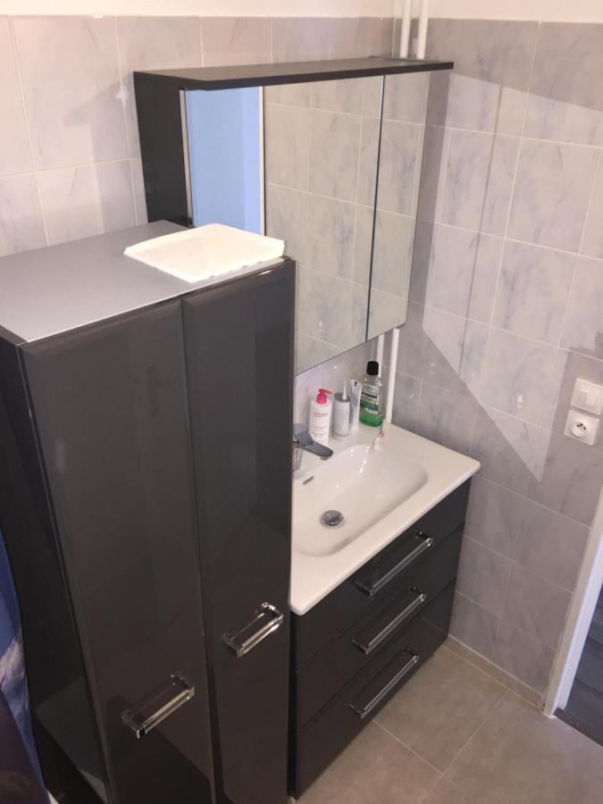 Grand Appartement A Louer Vue Sur Seine Melun Eksteriør bilde